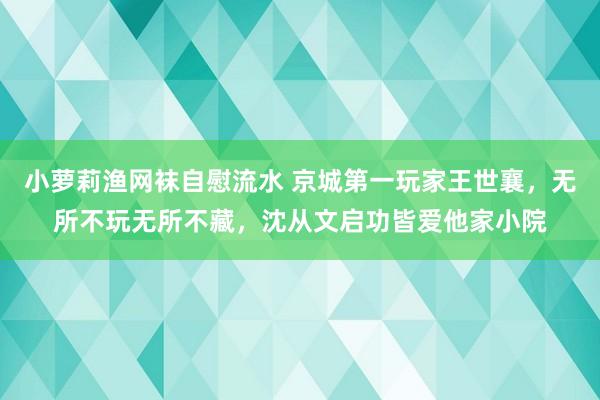 小萝莉渔网袜自慰流水 京城第一玩家王世襄，无所不玩无所不藏，沈从文启功皆爱他家小院