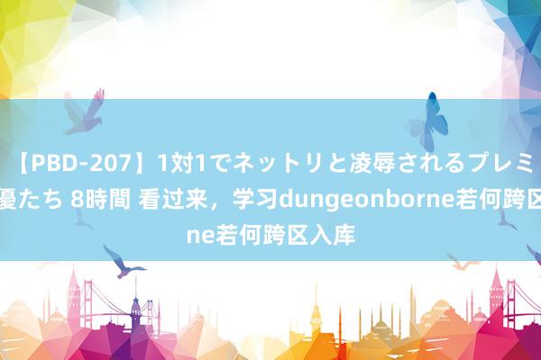 【PBD-207】1対1でネットリと凌辱されるプレミア女優たち 8時間 看过来，学习dungeonborne若何跨区入库