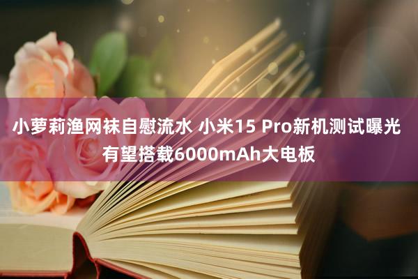 小萝莉渔网袜自慰流水 小米15 Pro新机测试曝光 有望搭载6000mAh大电板