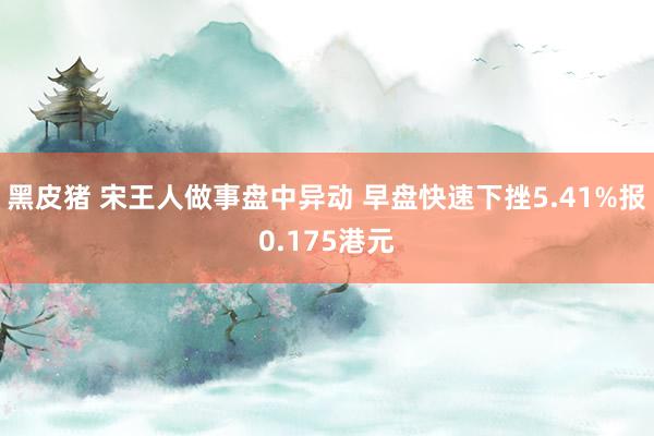 黑皮猪 宋王人做事盘中异动 早盘快速下挫5.41%报0.175港元