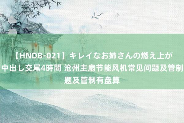 【HNDB-021】キレイなお姉さんの燃え上がる本物中出し交尾4時間 沧州主扇节能风机常见问题及管制有盘算