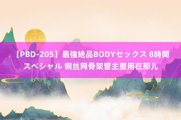 【PBD-205】最強絶品BODYセックス 8時間スペシャル 钢丝网骨架管主要用在那儿