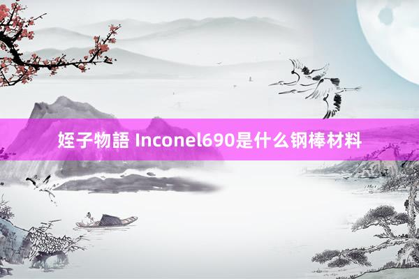 姪子物語 Inconel690是什么钢棒材料