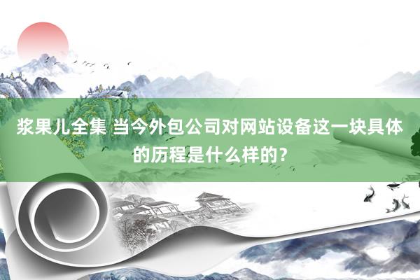 浆果儿全集 当今外包公司对网站设备这一块具体的历程是什么样的？