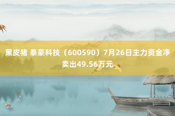 黑皮猪 泰豪科技（600590）7月26日主力资金净卖出49.56万元