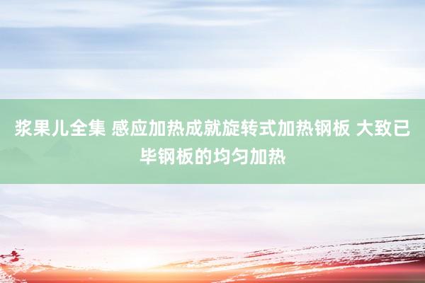 浆果儿全集 感应加热成就旋转式加热钢板 大致已毕钢板的均匀加热