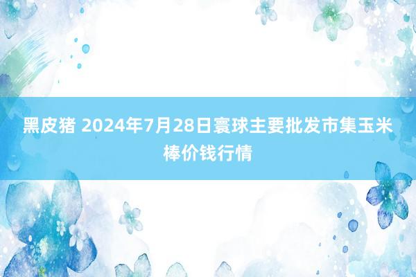 黑皮猪 2024年7月28日寰球主要批发市集玉米棒价钱行情