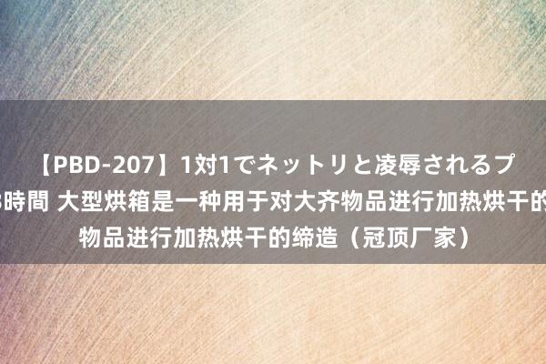 【PBD-207】1対1でネットリと凌辱されるプレミア女優たち 8時間 大型烘箱是一种用于对大齐物品进行加热烘干的缔造（冠顶厂家）