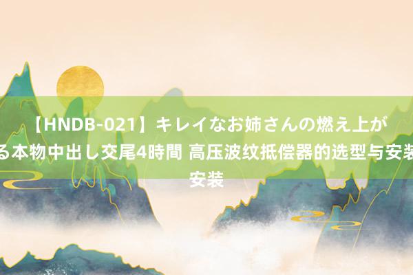 【HNDB-021】キレイなお姉さんの燃え上がる本物中出し交尾4時間 高压波纹抵偿器的选型与安装