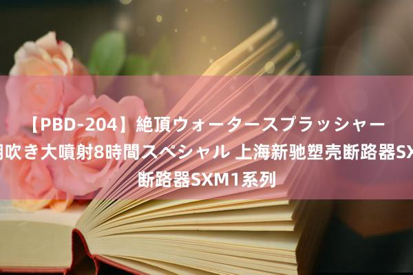 【PBD-204】絶頂ウォータースプラッシャー 放尿＆潮吹き大噴射8時間スペシャル 上海新驰塑壳断路器SXM1系列