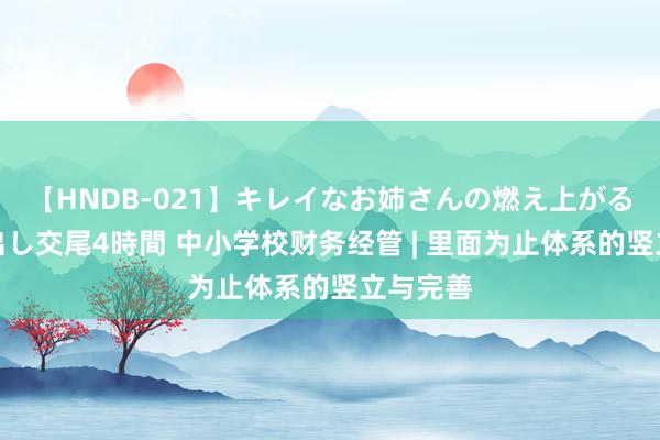 【HNDB-021】キレイなお姉さんの燃え上がる本物中出し交尾4時間 中小学校财务经管 | 里面为止体系的竖立与完善