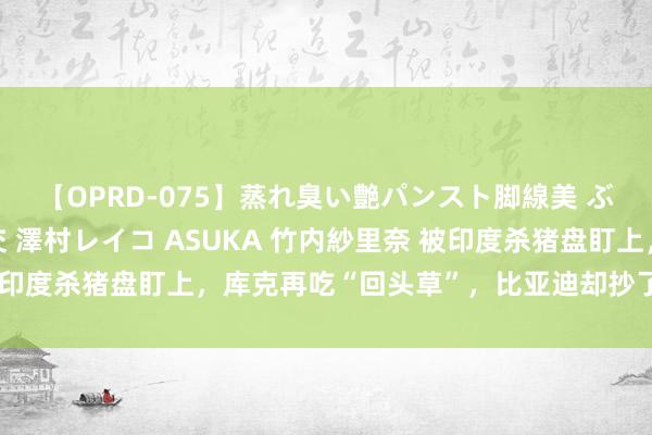 【OPRD-075】蒸れ臭い艶パンスト脚線美 ぶっかけゴックン大乱交 澤村レイコ ASUKA 竹内紗里奈 被印度杀猪盘盯上，库克再吃“回头草”，比亚迪却抄了富士康后路