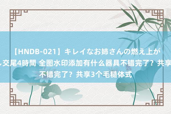 【HNDB-021】キレイなお姉さんの燃え上がる本物中出し交尾4時間 全图水印添加有什么器具不错完了？共享3个毛糙体式