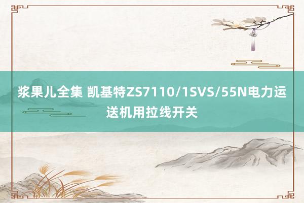 浆果儿全集 凯基特ZS7110/1SVS/55N电力运送机用拉线开关