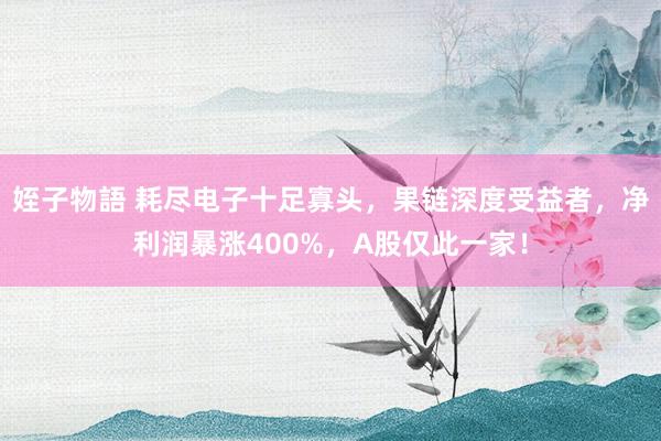 姪子物語 耗尽电子十足寡头，果链深度受益者，净利润暴涨400%，A股仅此一家！