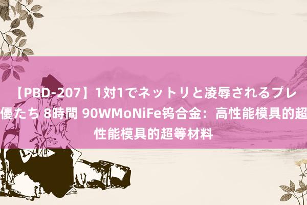 【PBD-207】1対1でネットリと凌辱されるプレミア女優たち 8時間 90WMoNiFe钨合金：高性能模具的超等材料