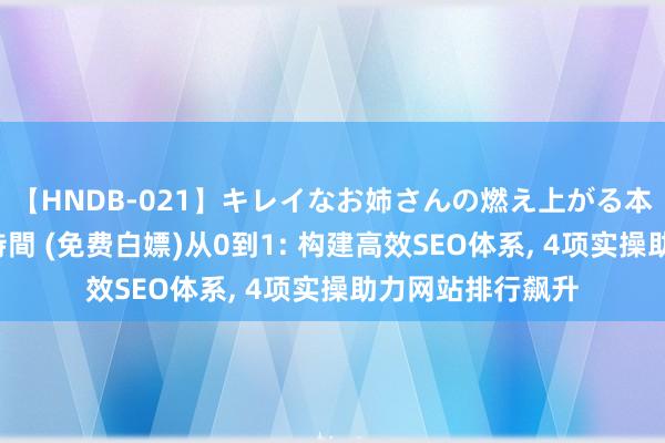 【HNDB-021】キレイなお姉さんの燃え上がる本物中出し交尾4時間 (免费白嫖)从0到1: 构建高效SEO体系， 4项实操助力网站排行飙升