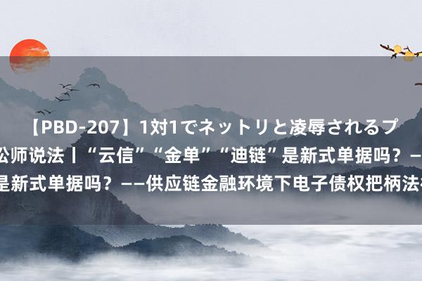 【PBD-207】1対1でネットリと凌辱されるプレミア女優たち 8時間 讼师说法丨“云信”“金单”“迪链”是新式单据吗？——供应链金融环境下电子债权把柄法律性质探究