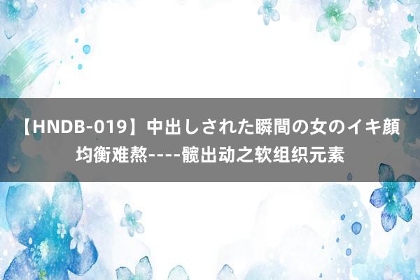 【HNDB-019】中出しされた瞬間の女のイキ顔 均衡难熬----髋出动之软组织元素