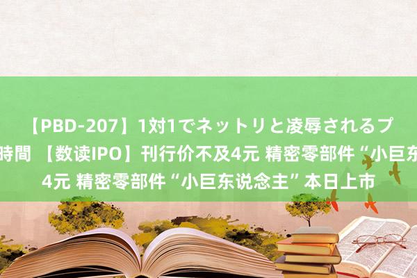 【PBD-207】1対1でネットリと凌辱されるプレミア女優たち 8時間 【数读IPO】刊行价不及4元 精密零部件“小巨东说念主”本日上市