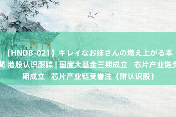 【HNDB-021】キレイなお姉さんの燃え上がる本物中出し交尾4時間 港股认识跟踪 | 国度大基金三期成立   芯片产业链受眷注（附认识股）