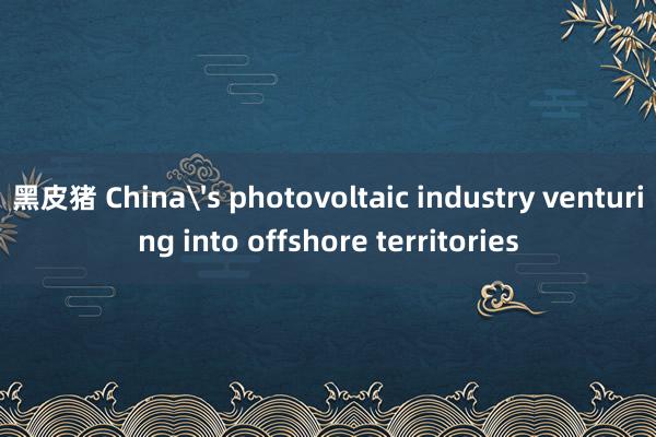 黑皮猪 China's photovoltaic industry venturing into offshore territories