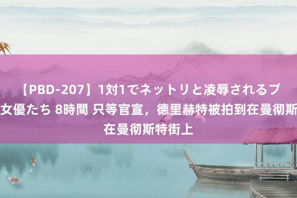 【PBD-207】1対1でネットリと凌辱されるプレミア女優たち 8時間 只等官宣，<a href=