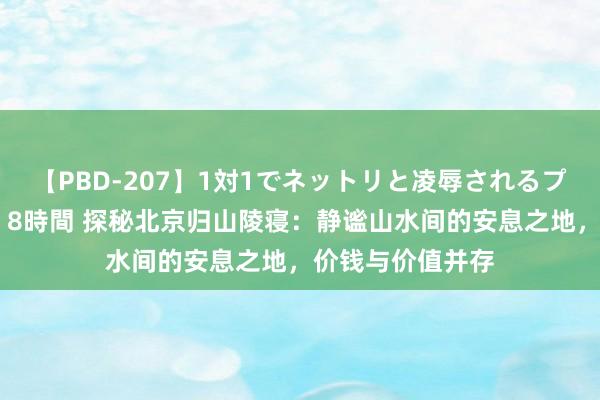 【PBD-207】1対1でネットリと凌辱されるプレミア女優たち 8時間 探秘北京归山陵寝：静谧山水间的安息之地，价钱与价值并存