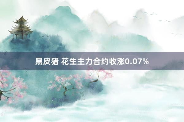 黑皮猪 花生主力合约收涨0.07%