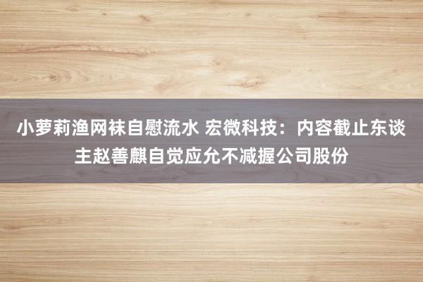 小萝莉渔网袜自慰流水 宏微科技：内容截止东谈主赵善麒自觉应允不减握公司股份