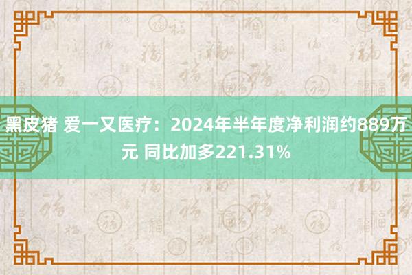 黑皮猪 爱一又医疗：2024年半年度净利润约889万元 同比加多221.31%