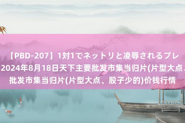 【PBD-207】1対1でネットリと凌辱されるプレミア女優たち 8時間 2024年8月18日天下主要批发市集当归片(片型大点、股子少的)价钱行情