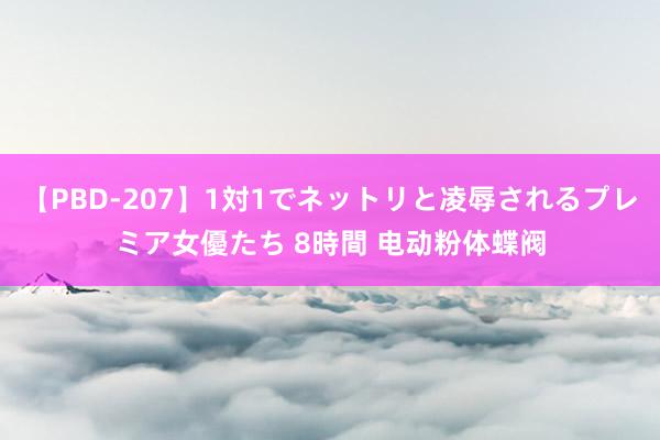 【PBD-207】1対1でネットリと凌辱されるプレミア女優たち 8時間 电动粉体蝶阀