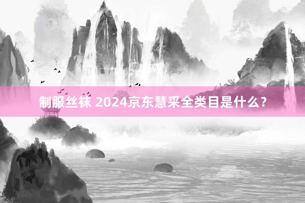 制服丝袜 2024京东慧采全类目是什么？