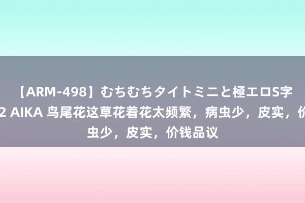 【ARM-498】むちむちタイトミニと極エロS字ライン 2 AIKA 鸟尾花这草花着花太频繁，病虫少，皮实，价钱品议