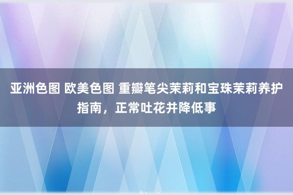 亚洲色图 欧美色图 重瓣笔尖茉莉和宝珠茉莉养护指南，正常吐花并降低事