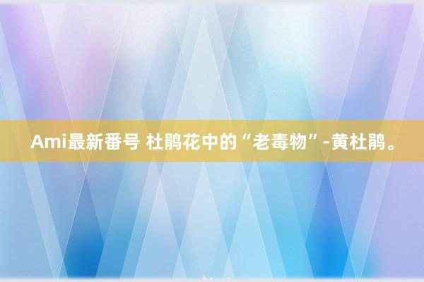 Ami最新番号 杜鹃花中的“老毒物”-黄杜鹃。