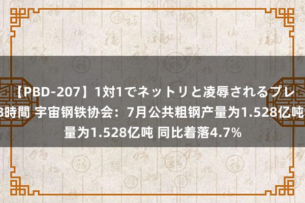 【PBD-207】1対1でネットリと凌辱されるプレミア女優たち 8時間 宇宙钢铁协会：7月公共粗钢产量为1.528亿吨 同比着落4.7%