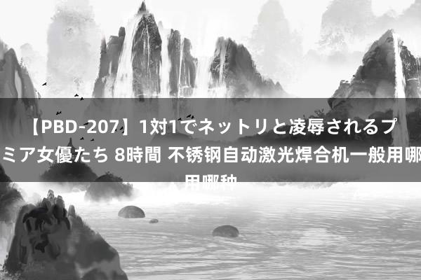 【PBD-207】1対1でネットリと凌辱されるプレミア女優たち 8時間 不锈钢自动激光焊合机一般用哪种