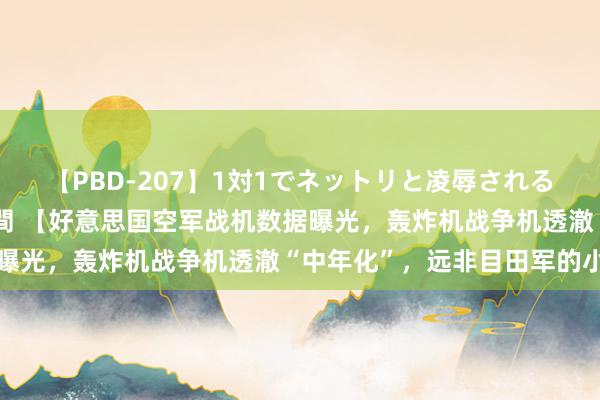 【PBD-207】1対1でネットリと凌辱されるプレミア女優たち 8時間 【好意思国空军战机数据曝光，轰炸机战争机透澈“中年化”，远非目田军的小年