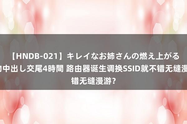 【HNDB-021】キレイなお姉さんの燃え上がる本物中出し交尾4時間 路由器诞生调换SSID就不错无缝漫游？