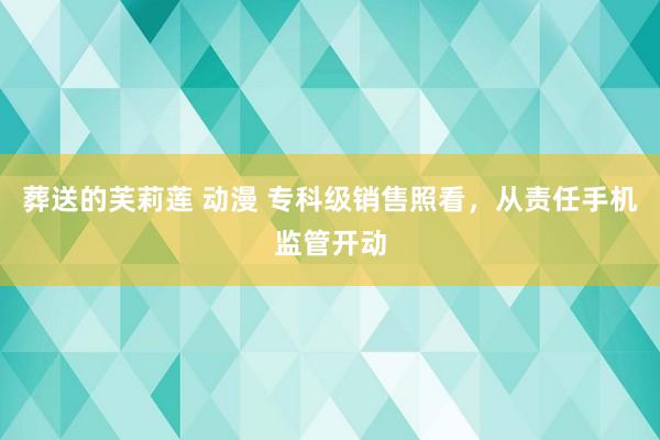 葬送的芙莉莲 动漫 专科级销售照看，从责任手机监管开动