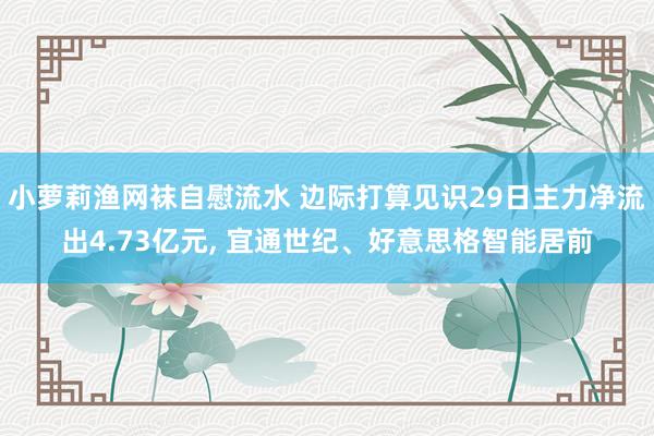 小萝莉渔网袜自慰流水 边际打算见识29日主力净流出4.73亿元， 宜通世纪、好意思格智能居前