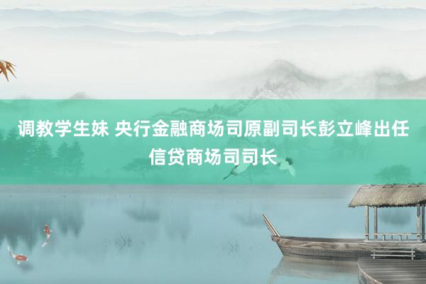 调教学生妹 央行金融商场司原副司长彭立峰出任信贷商场司司长