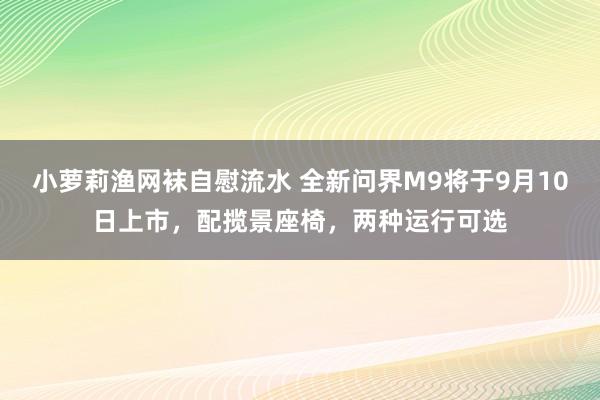 小萝莉渔网袜自慰流水 全新问界M9将于9月10日上市，配揽景座椅，两种运行可选