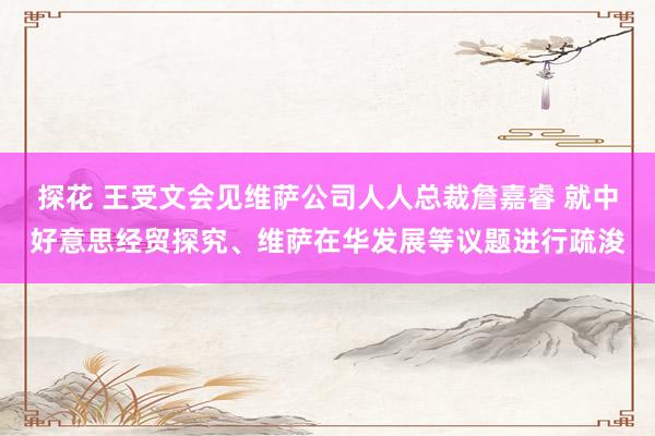 探花 王受文会见维萨公司人人总裁詹嘉睿 就中好意思经贸探究、维萨在华发展等议题进行疏浚