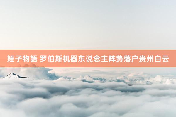 姪子物語 罗伯斯机器东说念主阵势落户贵州白云