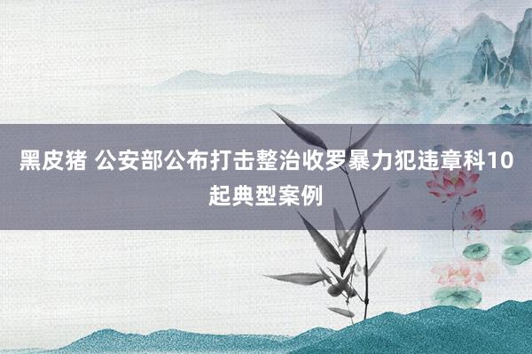 黑皮猪 公安部公布打击整治收罗暴力犯违章科10起典型案例