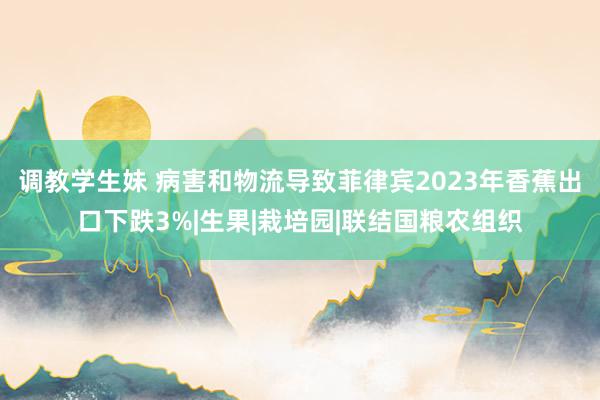 调教学生妹 病害和物流导致菲律宾2023年香蕉出口下跌3%|生果|栽培园|联结国粮农组织