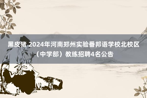 黑皮猪 2024年河南郑州实验番邦语学校北校区（中学部）教练招聘4名公告